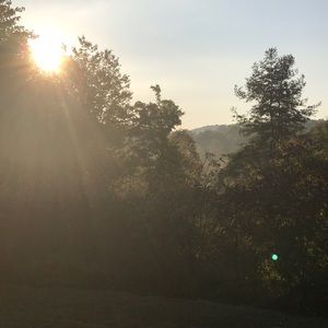 Meet your Posher, Reva